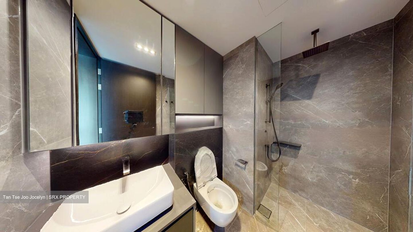 Irwell Hill Residences (D9), Apartment #453320971